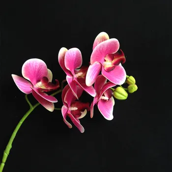 5 ks Latex Motýľ Orchidea, Kvety 7 Hláv Skutočný Dotyk Kvalitné Umelé Phalaenopsis Orchidey pre Domáce Kvetinová Výzdoba