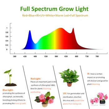 Greensindoor 1000W 2000W Led Rásť Svetlo 240 led Phyto Lampy celé Spektrum Skleníkových Growbox Pre Rastliny, Sadenice A Kvitne